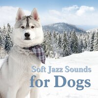 Anti Stress Song - Music for Dogs Peace & Jazz Music for Dogs & Dogs Jazz