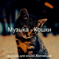 Настроения (Котята) - Музыка для кошек Коллекции