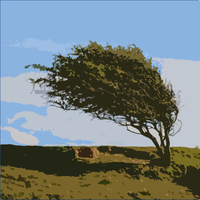 Soothing Wind and the Rain - Sleep All Night Long & Goodnight Baby White Noises & White Noise Baby Sleep & White Noise and White Noise Alternatives & White Noise for Baby Sleep & White Noise Therapy