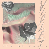 They Don't Wanna Know - Violet