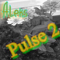 Pulse 2 - Aleks