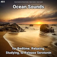 Ocean Sounds Part 59 - Ocean Sounds by Viviana Fernsby & Nature Sounds & Ocean Sounds