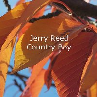Your Money Makes You Purty - Jerry Reed