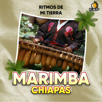 Adios papa fatio - Marimba De Chiapas