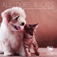 Best Friend - Pet Care Club