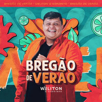 Proposta Indecente - Weliton O Gordinho