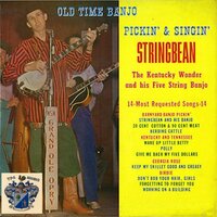 Polly - Stringbean