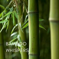 Peaceful Glow - Spa Music Relaxation Therapy & Healing Massage Music & Massage Music Temple
