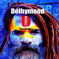 Delhymood - Francesco Landucci & Freakson