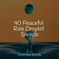 Rain, Drain, Cement, Lawn - Musique Zen Garden & Rain Sounds & White Noise & Soothing Chill Out For Insomnia