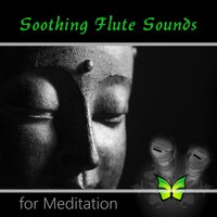 Yoga & Mindfulness Meditation - Irish Flute Music Universe