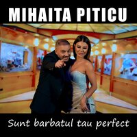 Sunt barbatul tau perfect - Mihaita Piticu