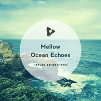 Audible View Of Ocean - Nature Sounds ASMR & Nature Atmospheres
