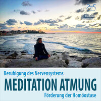 Meditation Atmung, Beruhigung des Nervensystems und Förderung der Homöostase, Teil 2 - Pierre bohn & Torsten Abrolat & SyncSouls
