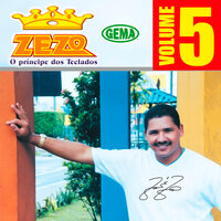 Não Pense Mais em Mim - Zezo