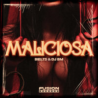 Maliciosa - MC Bielts & Dj BM