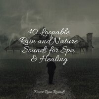 Wind and Storms - Rain Sounds & Rain Sound Studio & The Rain Library
