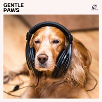 Calm Release - Pet Music & Music For Pets & Relax My Puppy & Calm Pet Music