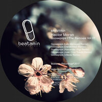 Goosepops - Hector Moran & Daniel Allen