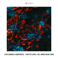 I Have The Flavor - Le Roi Carmona & Gianni Ruocco & Imanol Molina