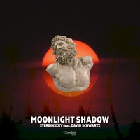 Moonlight Shadow - Sterbinszky & David Schwartz