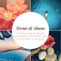 Ritrovando l'armonia - Musica Spa