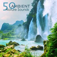 Underwater World - Nature Ambience
