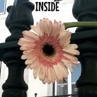Inside (06) - Freddy Wales