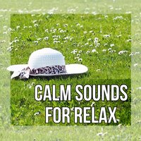 Ambient Sleep Music - Time of Relax Universe