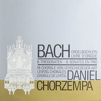 J.S. Bach: 18 Chorale Preludes, Leipzig Version - 16. Jesus Christus, unser Heiland, BWV 666 - Daniel Chorzempa & Johann Sebastian Bach