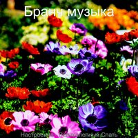 Охлажденный, Созерцая - Бранч музыка