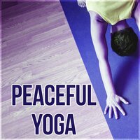 Meditation - Yoga Music Masters