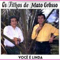 Nao Te Deixo Nunca Mais - Os Filhos de Mato Grosso