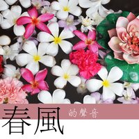 莉花下 - 安靜音樂