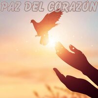 Blissful Calmness - La renovación interior de Miguel