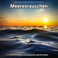Milde Offenbarung - Meeresrauschen zum Relaxen & Naturgeräusche & Meeresrauschen