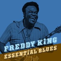 You've Got to Love Her with a Feeling - Freddie  King