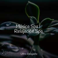 Tranquilizador - Academia de Relaxamento e Meditação & Meditar Profundamente & Meditação Maestro