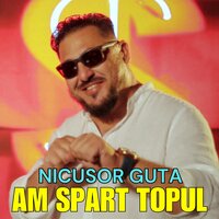 Am spart topul - Nicusor Guta