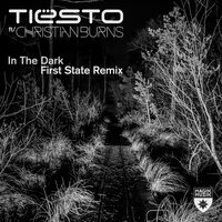 In the Dark - Tiësto & Christian Burns & First State