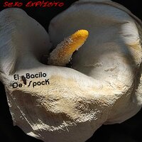 Crudo - El Bacilo de spock