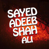 Wafa Tusan Bewafa - Sayed Adeeb Ali Shah