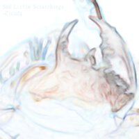 Perspective - Cicada