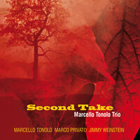 Lover - Marcello Tonolo Trio