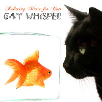 Sleeping Music, Feline Compilation - Cat Whisper