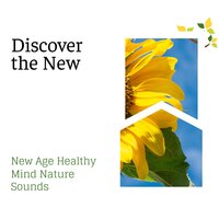 Soul Treatment - Spa Zen Melodies & Spa Music Relaxation