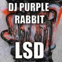 LSD - DJ Purple Rabbit
