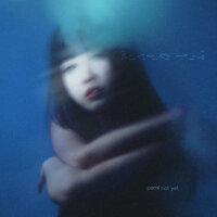 not yet - PAMI