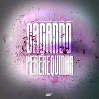 Caçando Pererequinha - MC Jhey & MC Gw & PRODJhey
