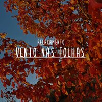 Relaxamento: Vento nas Folhas, Pt. 35 - Notas de Relaxamento